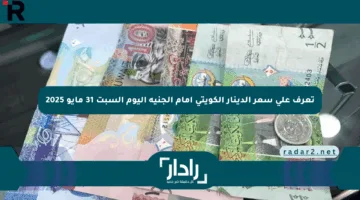 تعرف على سعر الدينار الكويتي أمام الجنيه اليوم السبت 31 مايو 2025